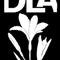 Desert Lily Academy
